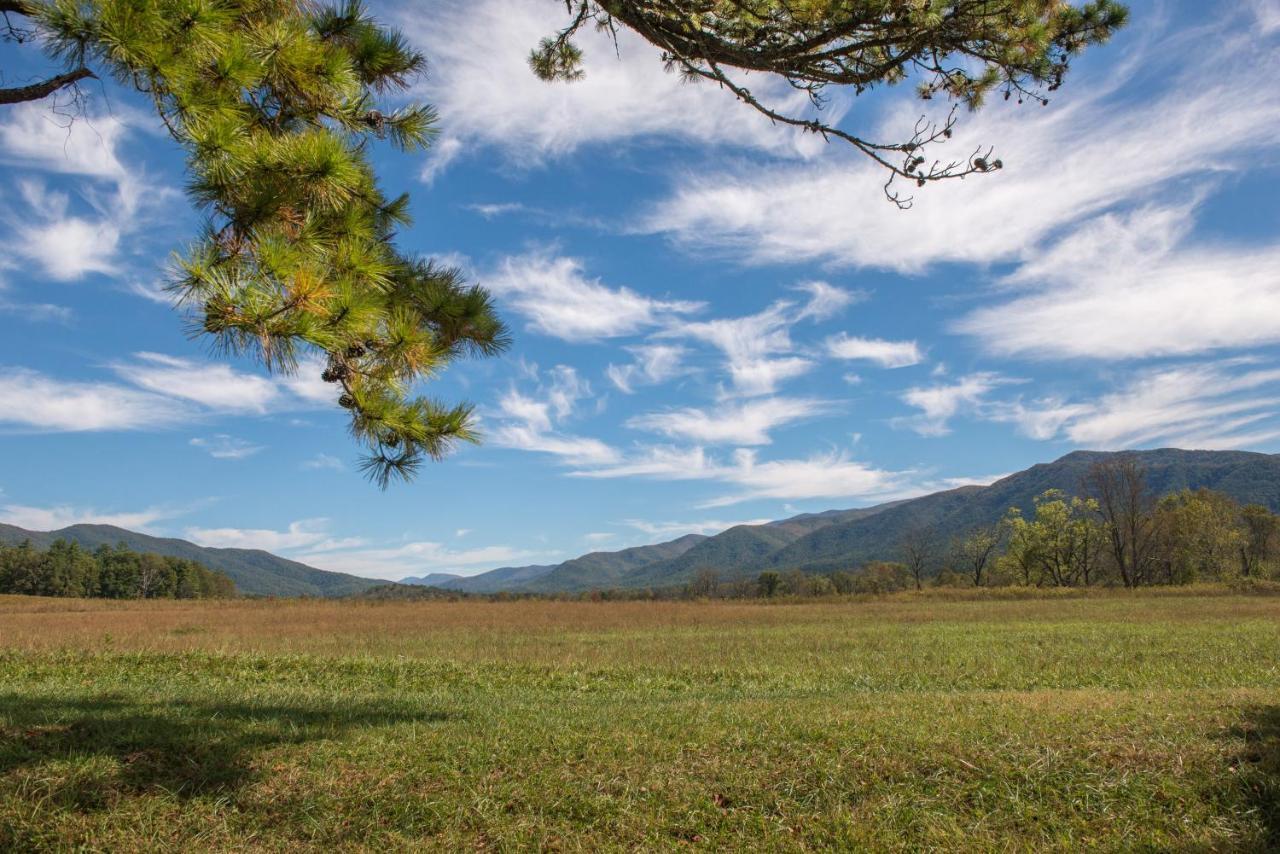Peaceful Setting Cabin Pigeon Forge Exterior foto